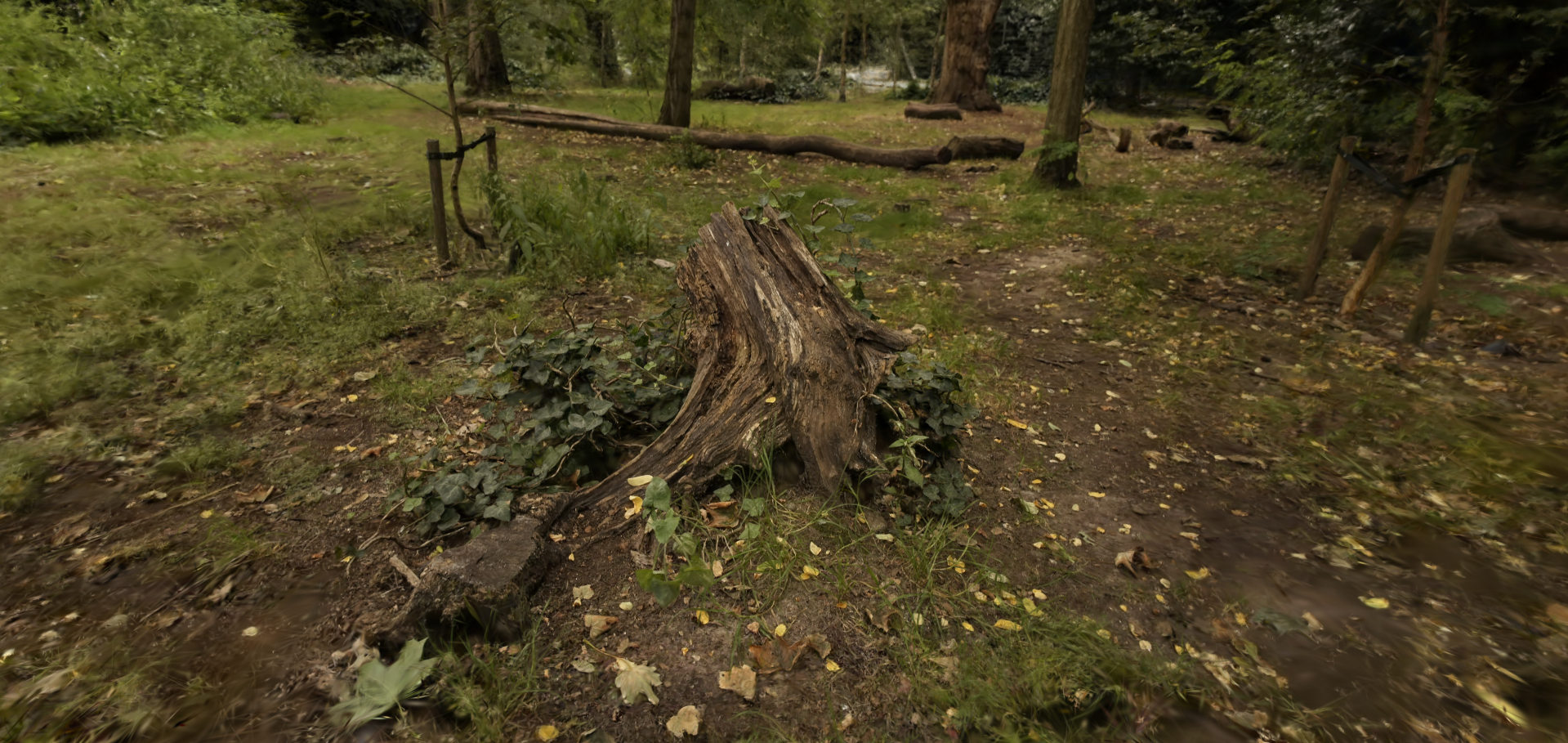 3D Gaussian Splatting